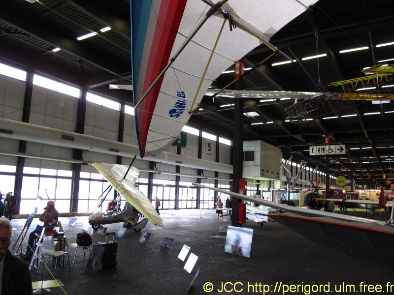 ULM pendulaire_4060.jpg